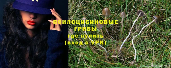экстази Заводоуковск