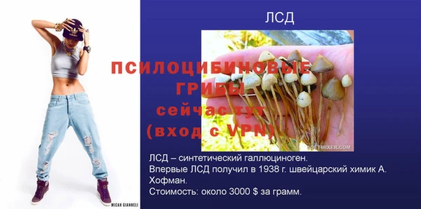 стафф Заволжье