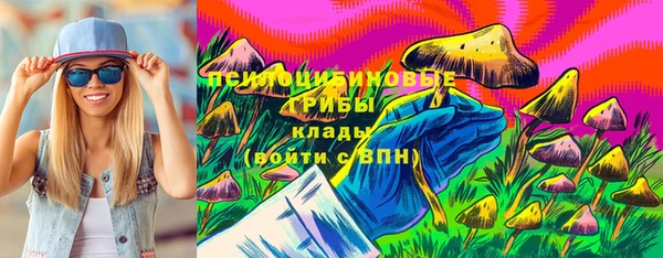 стафф Заволжье