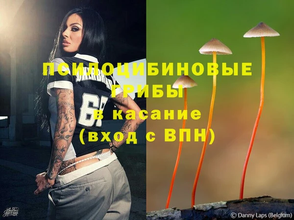 стафф Заволжье