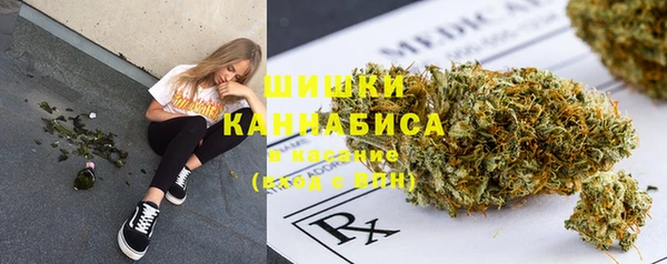 стафф Заволжье