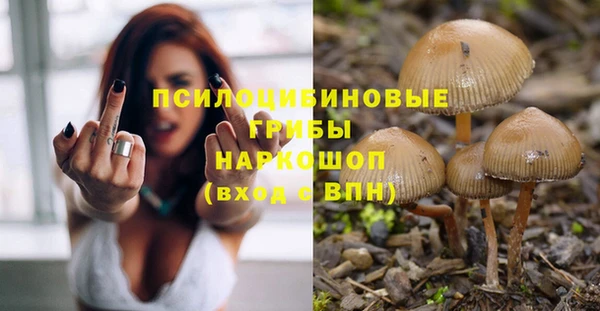 стафф Заволжье